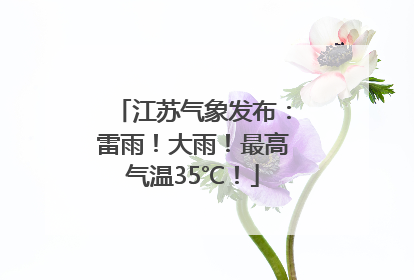 江苏气象发布：雷雨！大雨！最高气温35℃！